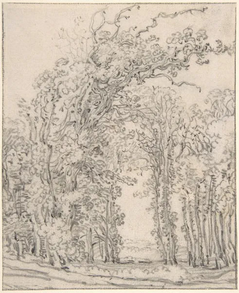 Study of Trees (17th century) av John Ruskin