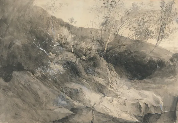 The Rocky Bank of a River av John Ruskin