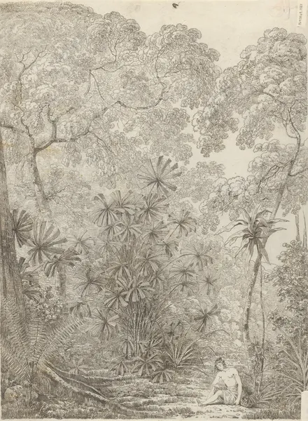 The Fan Palm of Cracatoa av John Webber