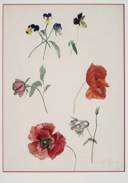 Blumen av Josef Lauer