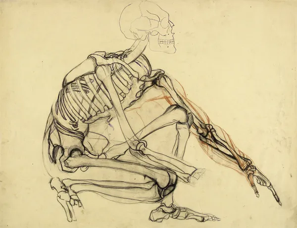 Etude anatomique. Squelette d’homme accroupi, vers la droite av Arthur-Joseph Gueniot