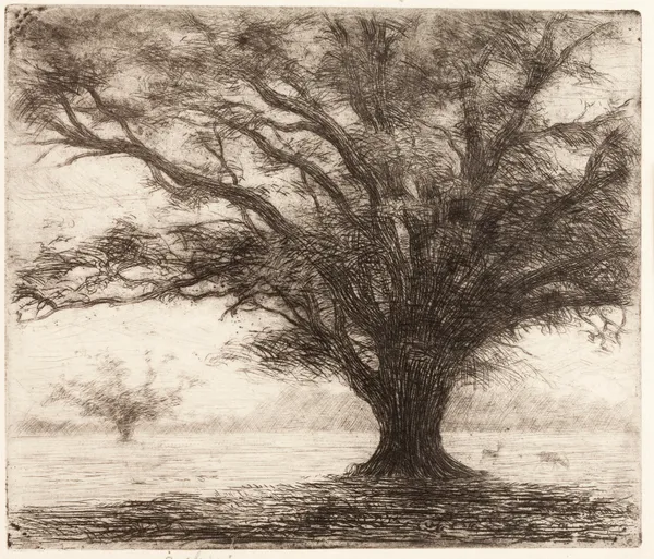 A tree in the Hampton Court Park near London av Józef Pankiewicz