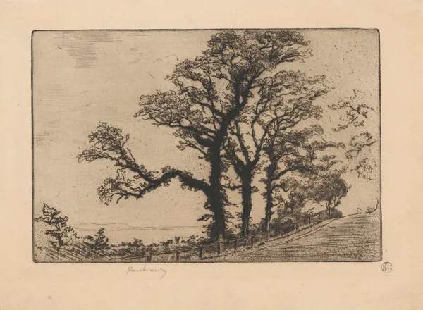 Honfleur – La Côte de Grace, State I av Józef Pankiewicz