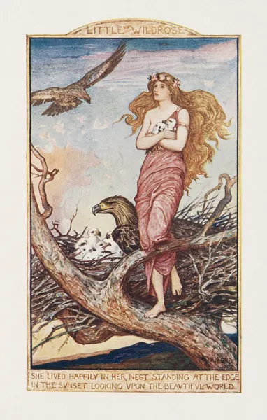She lived happily in her nest standing at the edge in the sunset looking upon the beautiful world av Henry Justice Ford