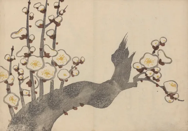 Kōrin gafu – Hōchū Pl.01 av Ogata Kōrin