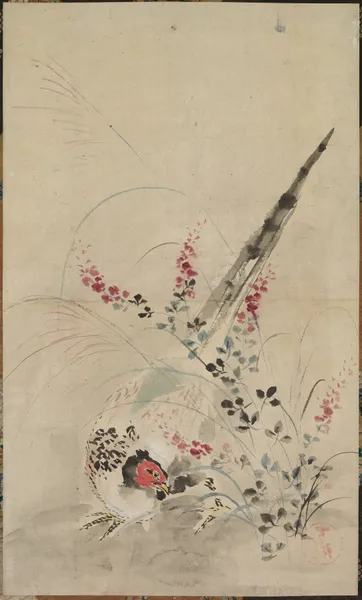 Pheasant and Grasses av Ogata Kōrin