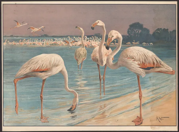 Flamingo av Karl Wagner