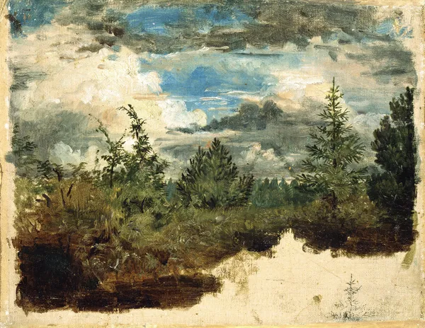 A Wooded Hillside. Study av Kilian Zoll