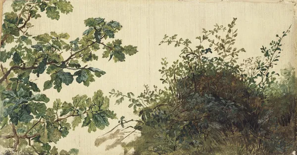 Study of Vegetation av Kilian Zoll