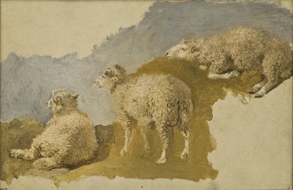 Three Sheep. Study av Kilian Zoll