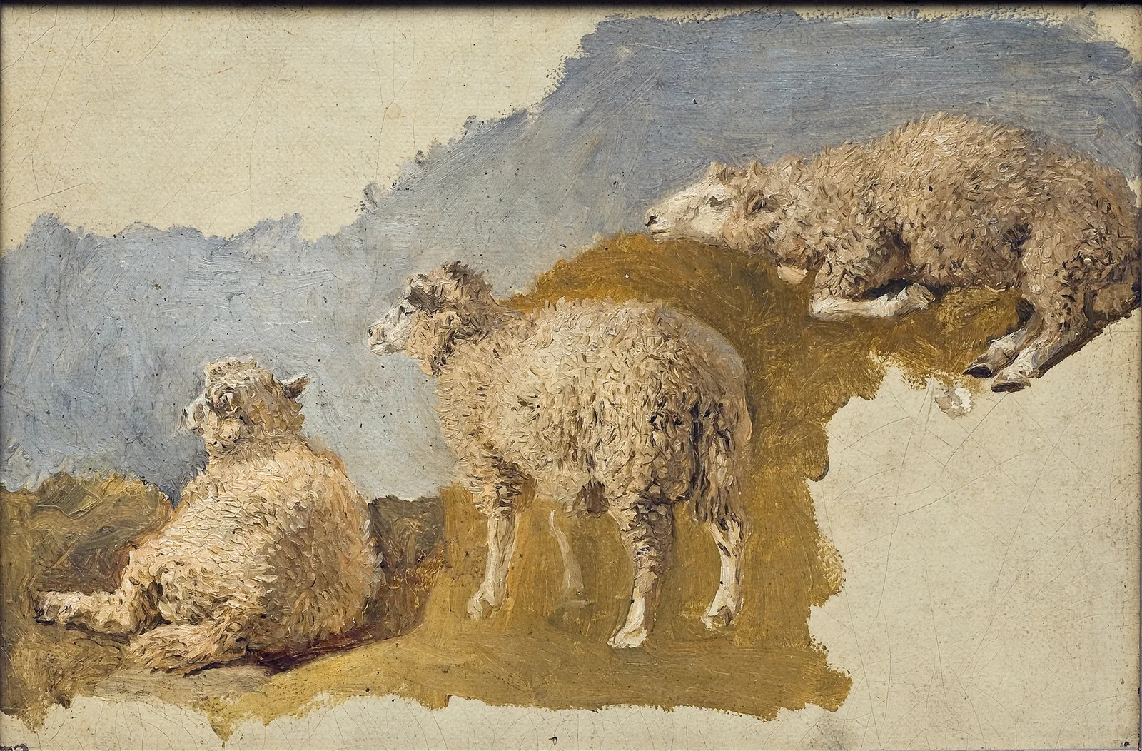 Three Sheep. Study av Kilian Zoll