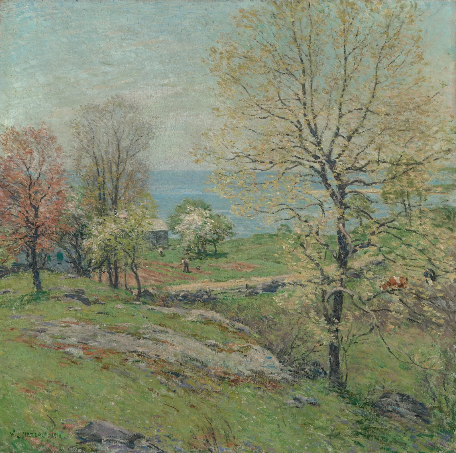 The Budding Oak av Willard Leroy Metcalf