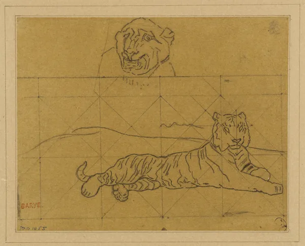 Deux études de tigres (19th century) av Antoine-Louis Barye