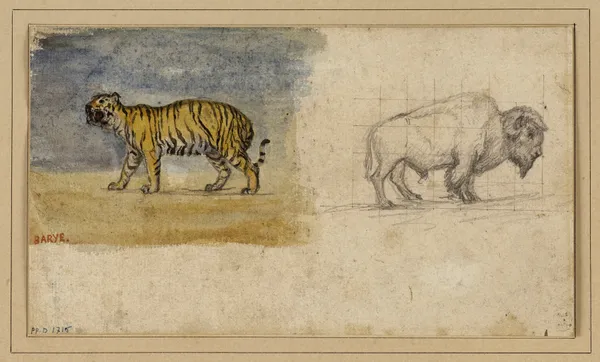 Etude d’un tigre et d’un bison (19th century) av Antoine-Louis Barye