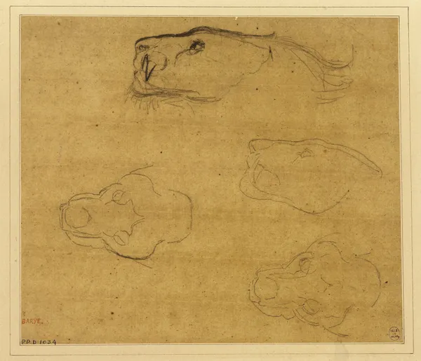 Feuille d’études de têtes de tigres (19th century) av Antoine-Louis Barye
