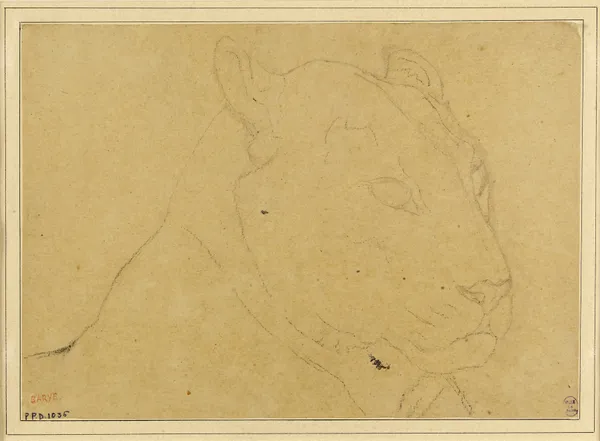 Tête de tigre (19th century) av Antoine-Louis Barye