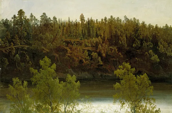 Swedish Lake. Study av Marcus Larson