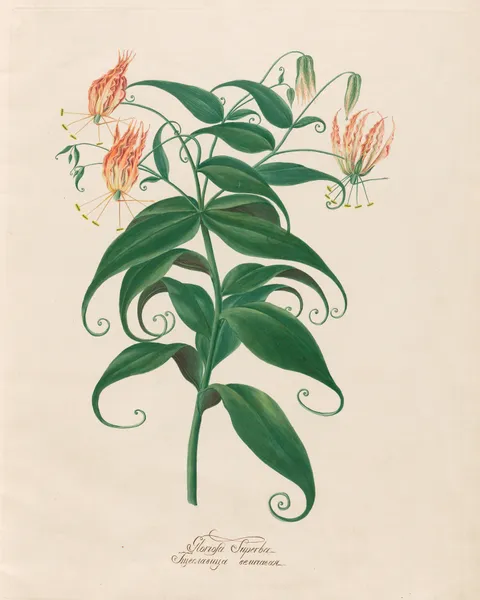 Gloriosa Superba av Petr Martynovich Gofman