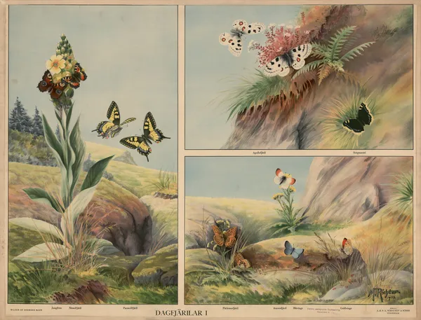 Butterflies I av Max Richter