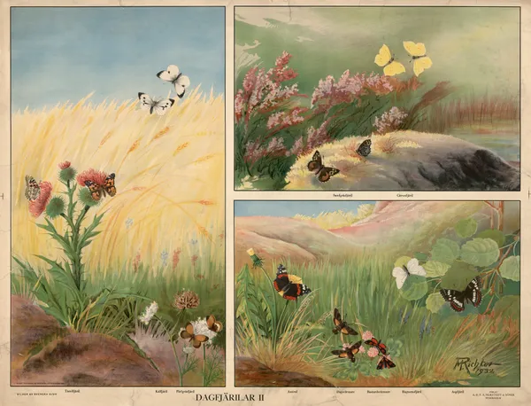 Butterflies II av Max Richter