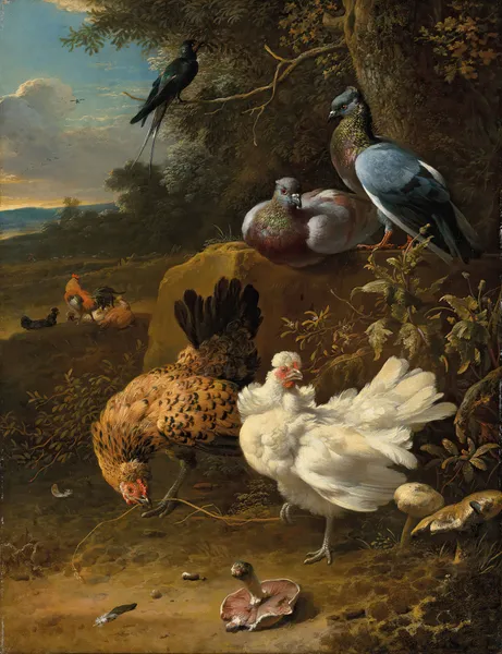 Chickens and pigeons in a landscape av Melchior d'Hondecoeter
