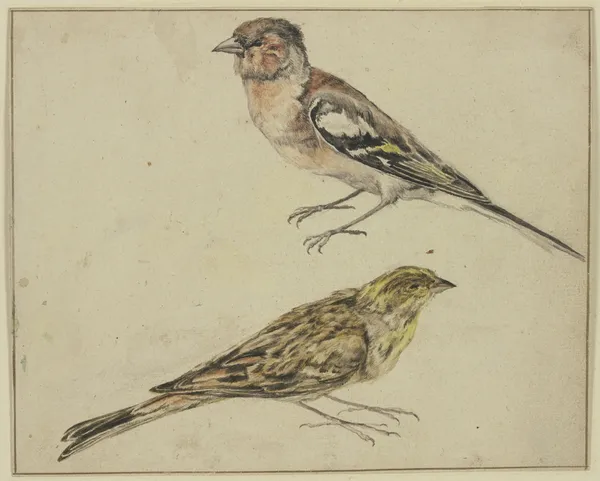 Ein Distelfink und ein Hänfling av Melchior d'Hondecoeter