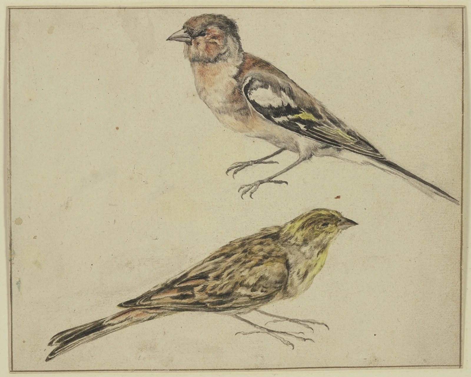 Ein Distelfink und ein Hänfling av Melchior d'Hondecoeter