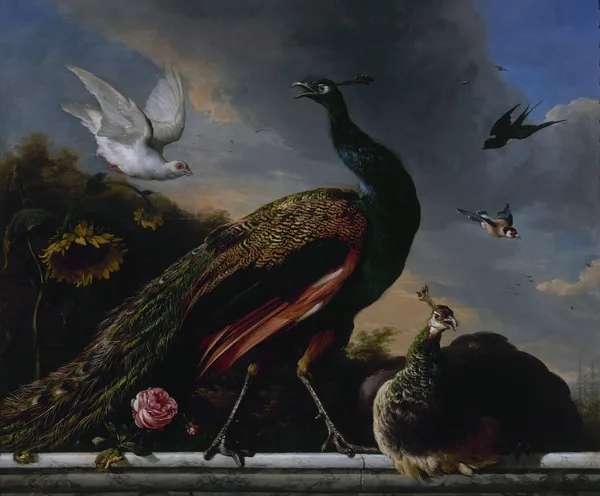 Peacocks, male and female av Melchior d'Hondecoeter