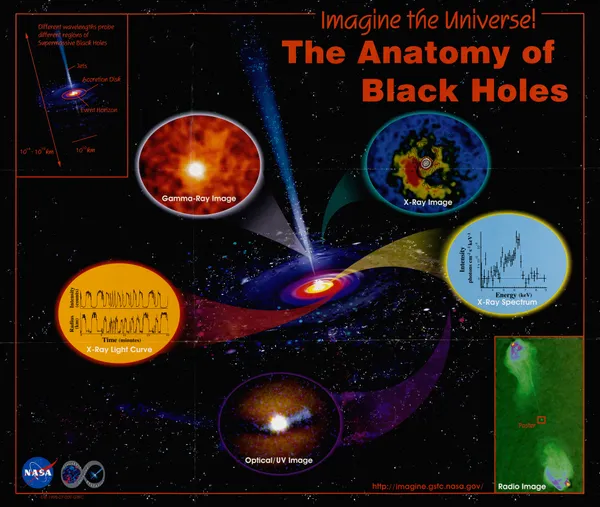 The Anatomy of Black Holes av NASA