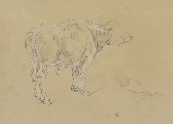 A buffalo av Johann Nepomuk Rauch
