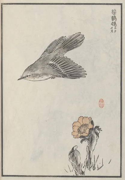 Bairei hyakuchō gafu. Ten Pl.02 av Kōno Bairei
