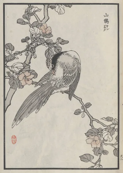 Bairei hyakuchō gafu. Ten Pl.03 av Kōno Bairei