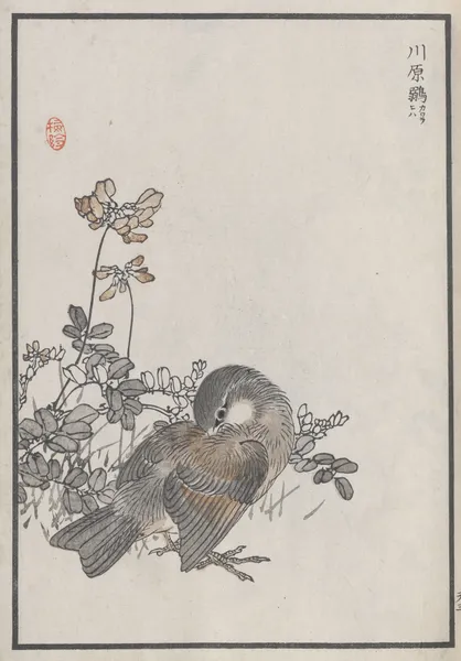 Bairei hyakuchō gafu. Ten Pl.05 av Kōno Bairei