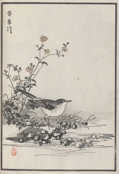 Bairei hyakuchō gafu. Ten Pl.12 av Kōno Bairei