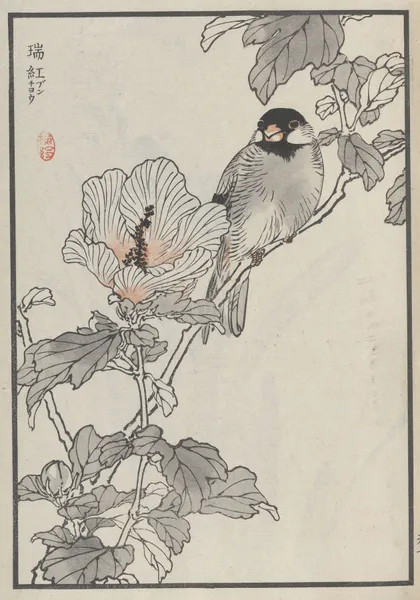 Bairei hyakuchō gafu. Ten Pl.13 av Kōno Bairei
