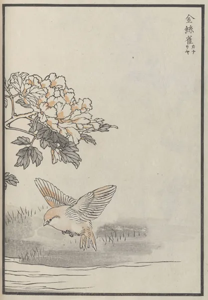 Bairei hyakuchō gafu. Ten Pl.18 av Kōno Bairei