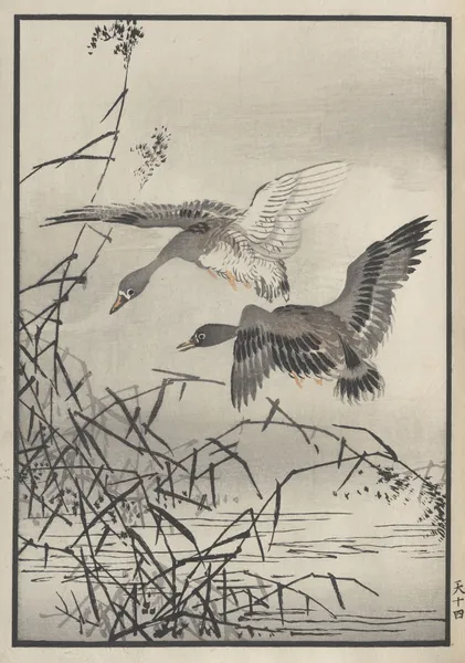 Bairei hyakuchō gafu. Ten Pl.27 av Kōno Bairei