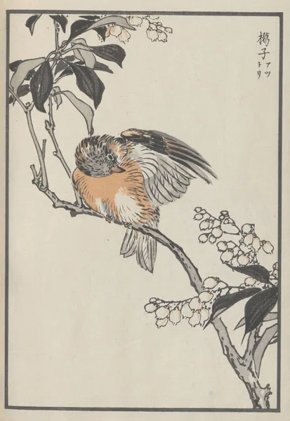Bairei hyakuchō gafu. Ten Pl.30 av Kōno Bairei