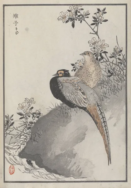 Bairei hyakuchō gafu. Ten Pl.42 av Kōno Bairei