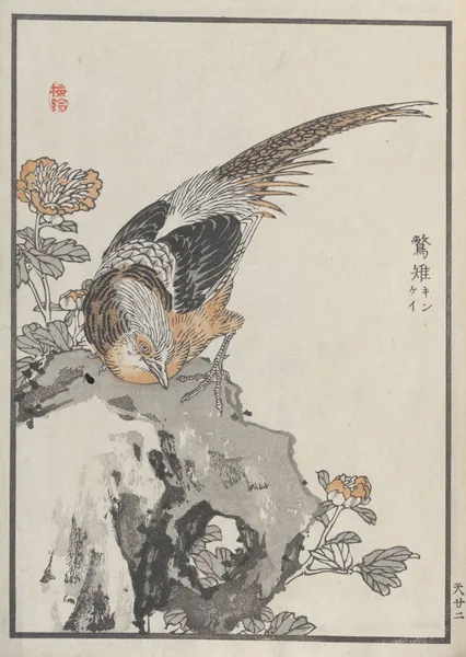 Bairei hyakuchō gafu. Ten Pl.43 av Kōno Bairei