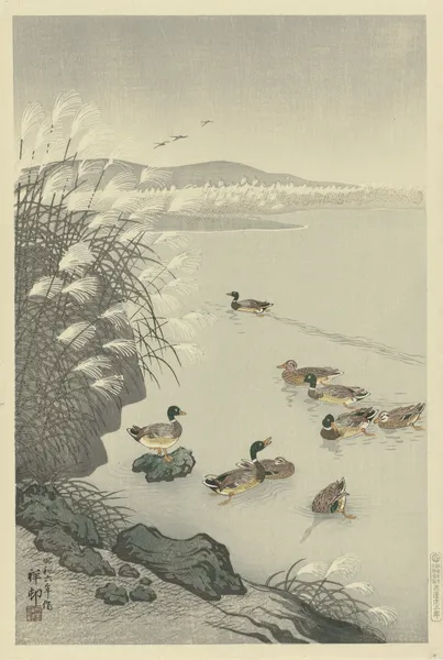 Ducks in the water av Ohara Koson