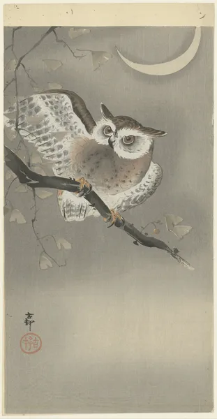 Long-eared owl in ginkgo av Ohara Koson