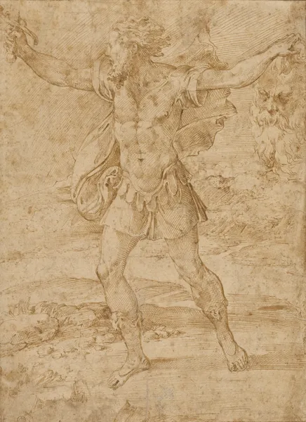 David with the Head of Goliath av Parmigianino