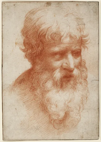 Head of a Bearded Man, looking right av Parmigianino