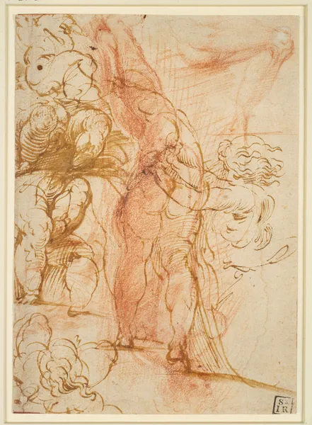 Mehrere Beinstudien von Putten, einwärts laufender Männerakt, Beinstudie und stehende Figur av Parmigianino
