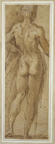Stehender männlicher Akt in Rückenansicht av Parmigianino