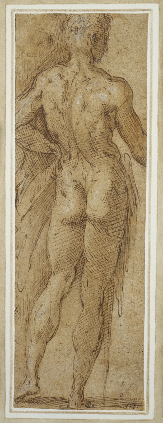 Stehender männlicher Akt in Rückenansicht av Parmigianino