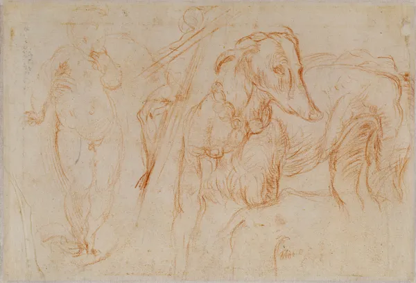 Studies of the Christ Child, a Crucifix, and a Dog av Parmigianino