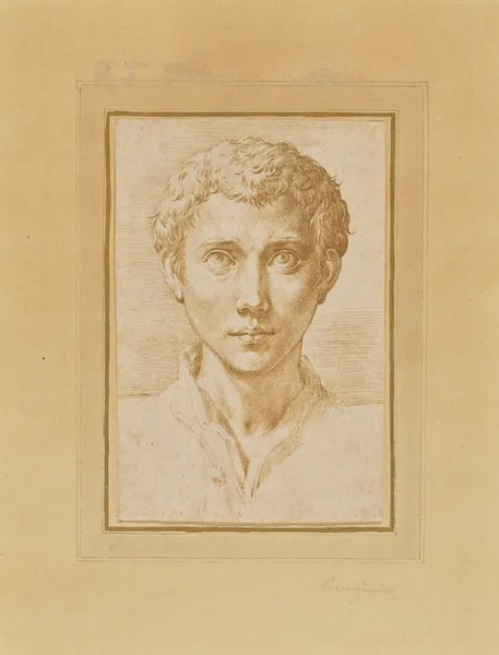 The Head of a Young Man av Parmigianino