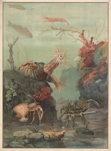Hermit crabs, crabs, etc. av Paul Flanderky
